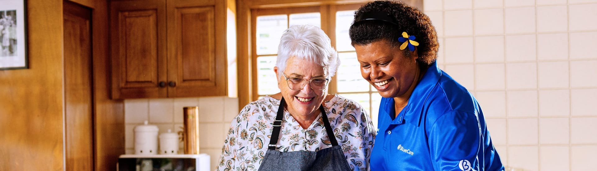 Commonwealth Home Support Program